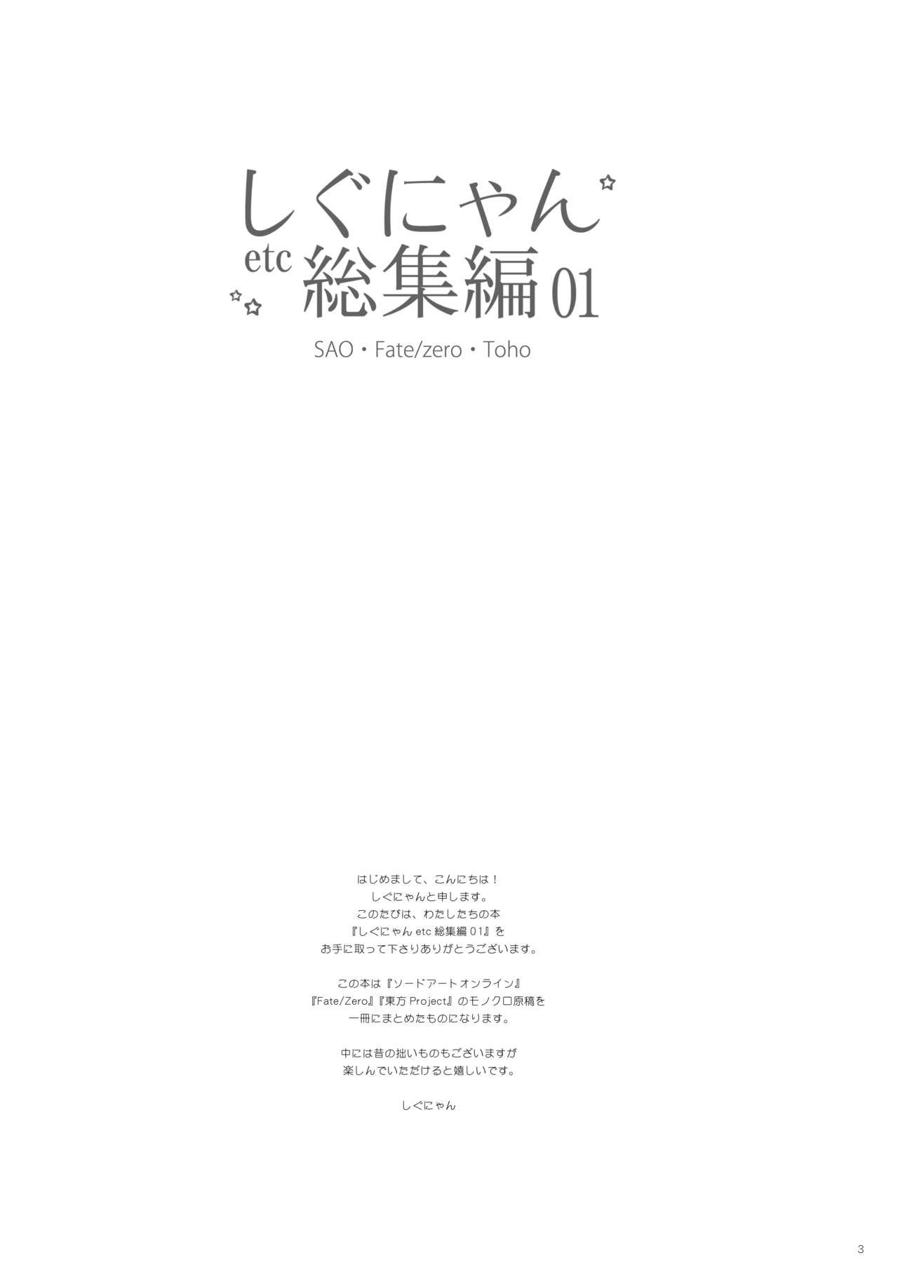 Stripping Shigunyan etc Soushuuhen 01 - Touhou project Sword art online Fate zero Lez Fuck - Page 3