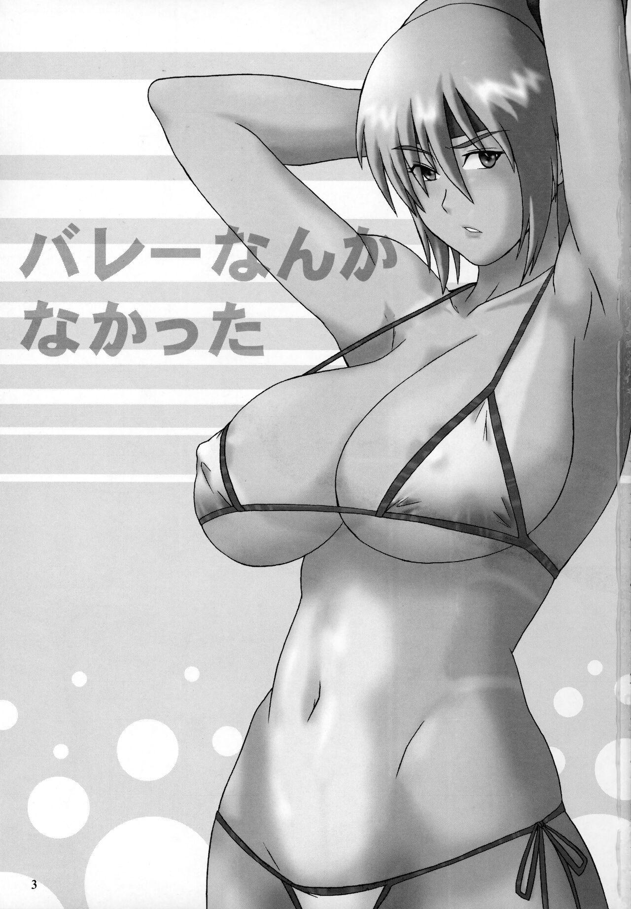 Doggystyle Volley Nanka Nakatta - Dead or alive Perfect Body - Page 2