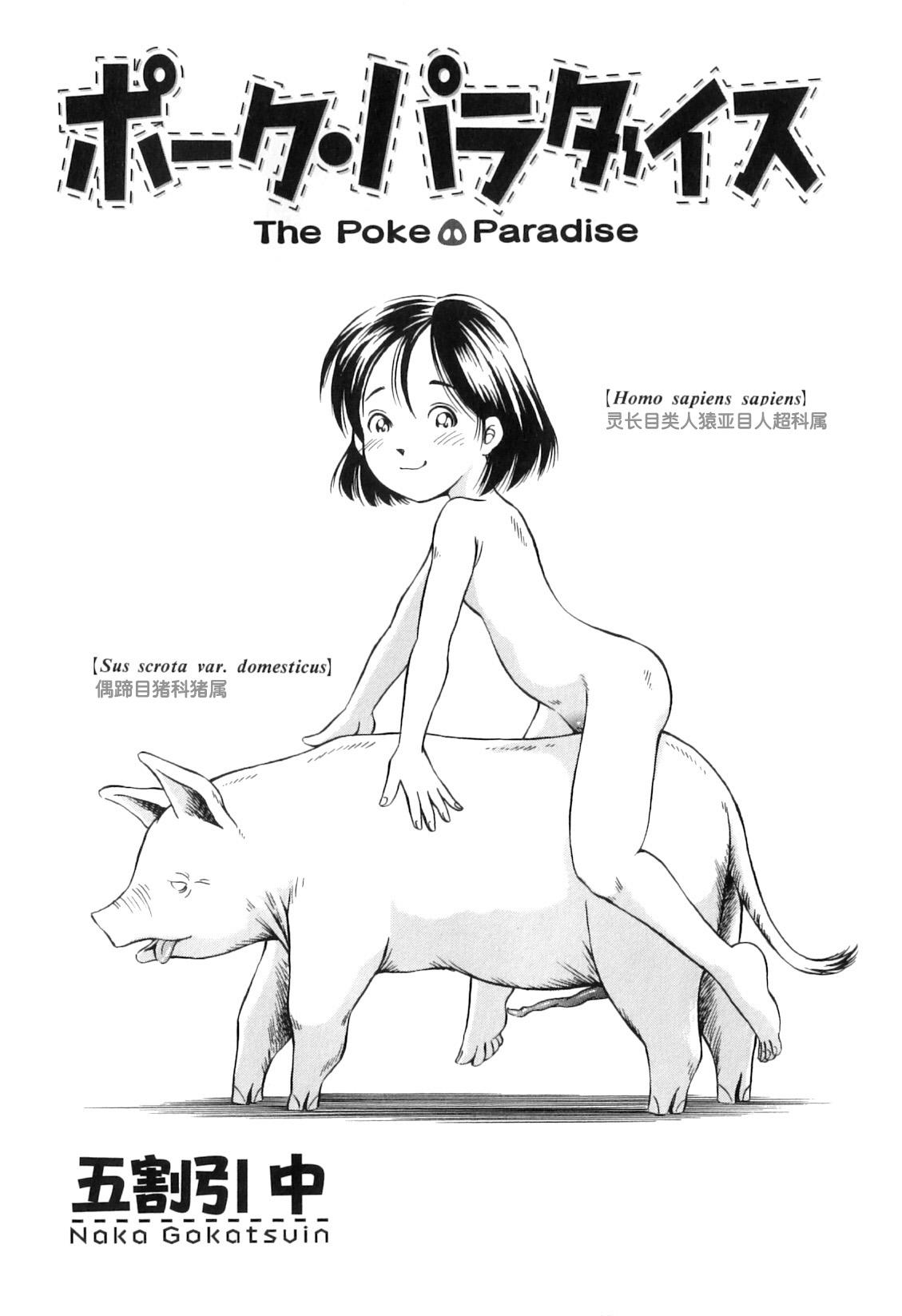 Hardcore Rough Sex Pork Paradise Studs - Page 1