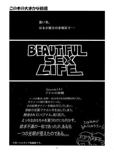Beautiful Sex Life 2