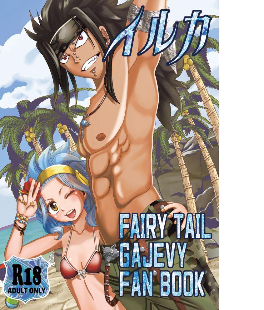 fairy tail galevy fanbook 0