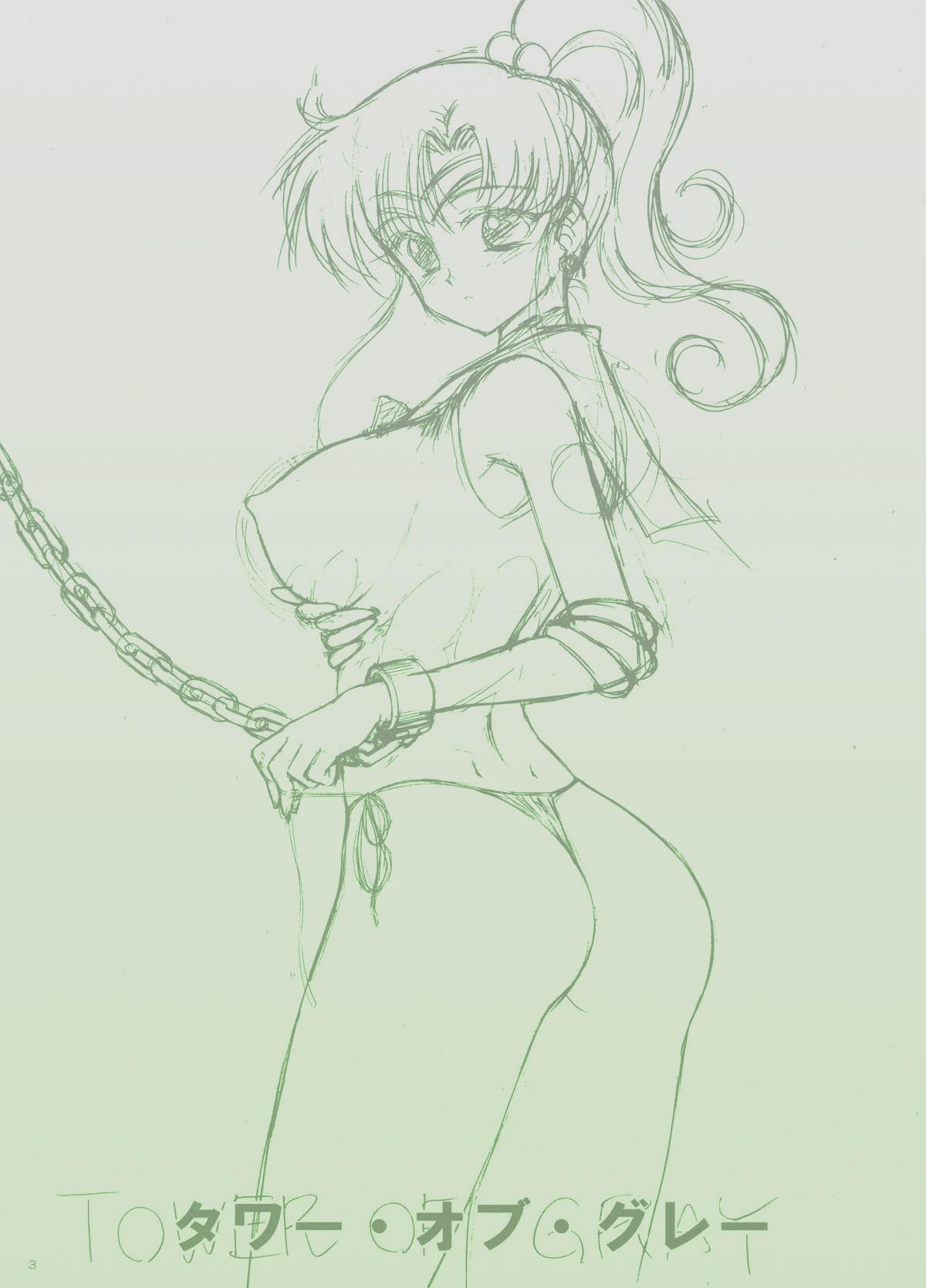 Doggy Style TOWER OF GRAY - Sailor moon | bishoujo senshi sailor moon Verification - Picture 2
