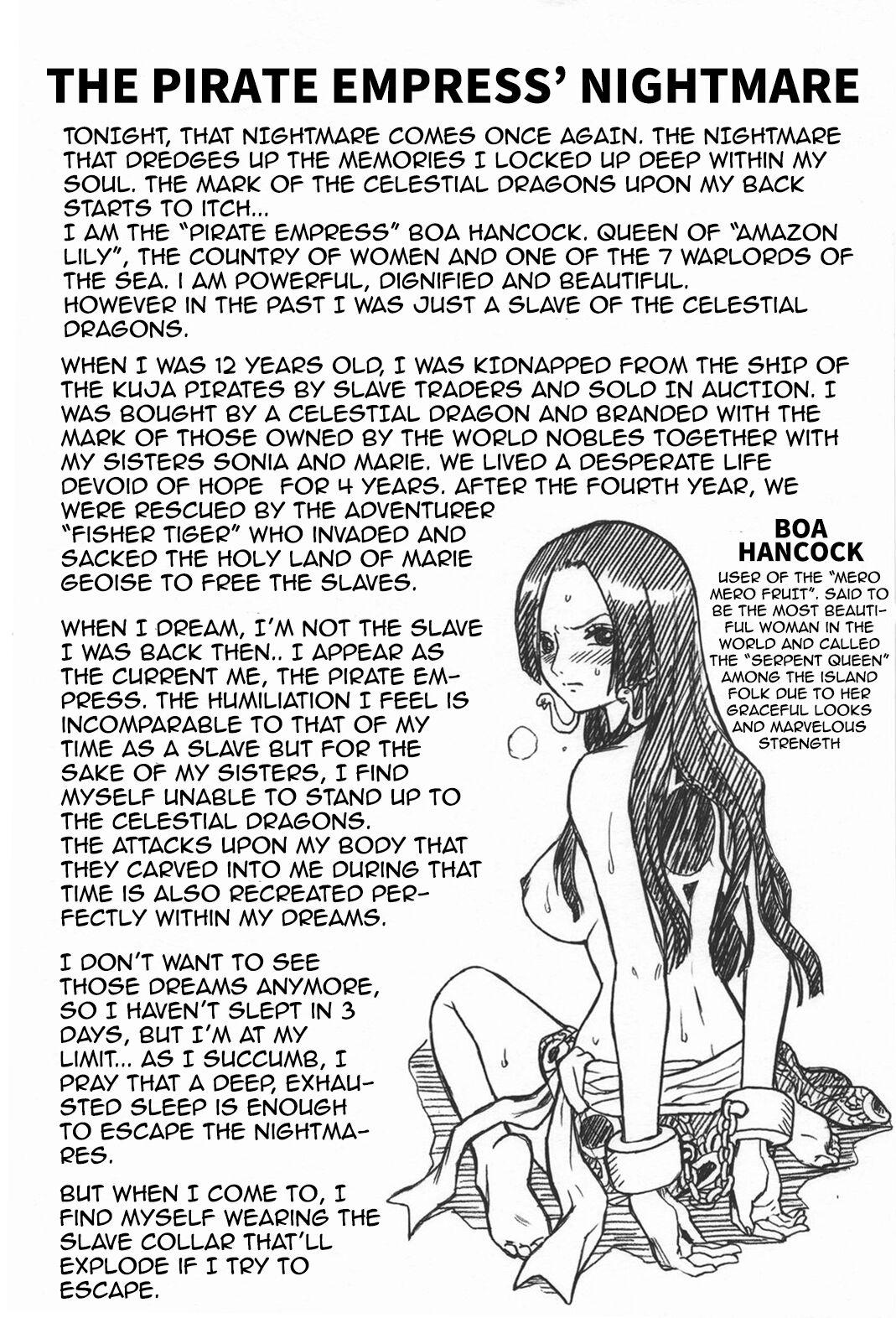 Bigtits ONE PIECE FILE Hancock Gazoushuu - One piece Action - Page 2