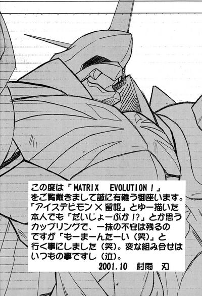 Matrix Evolution! 2