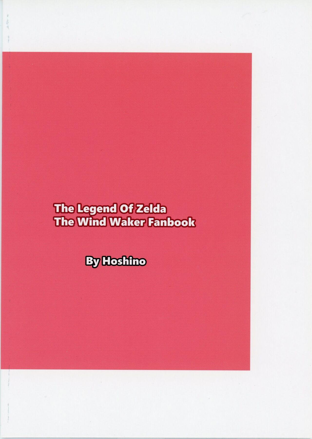 Toon Link's Book of Sexual Harassment 21