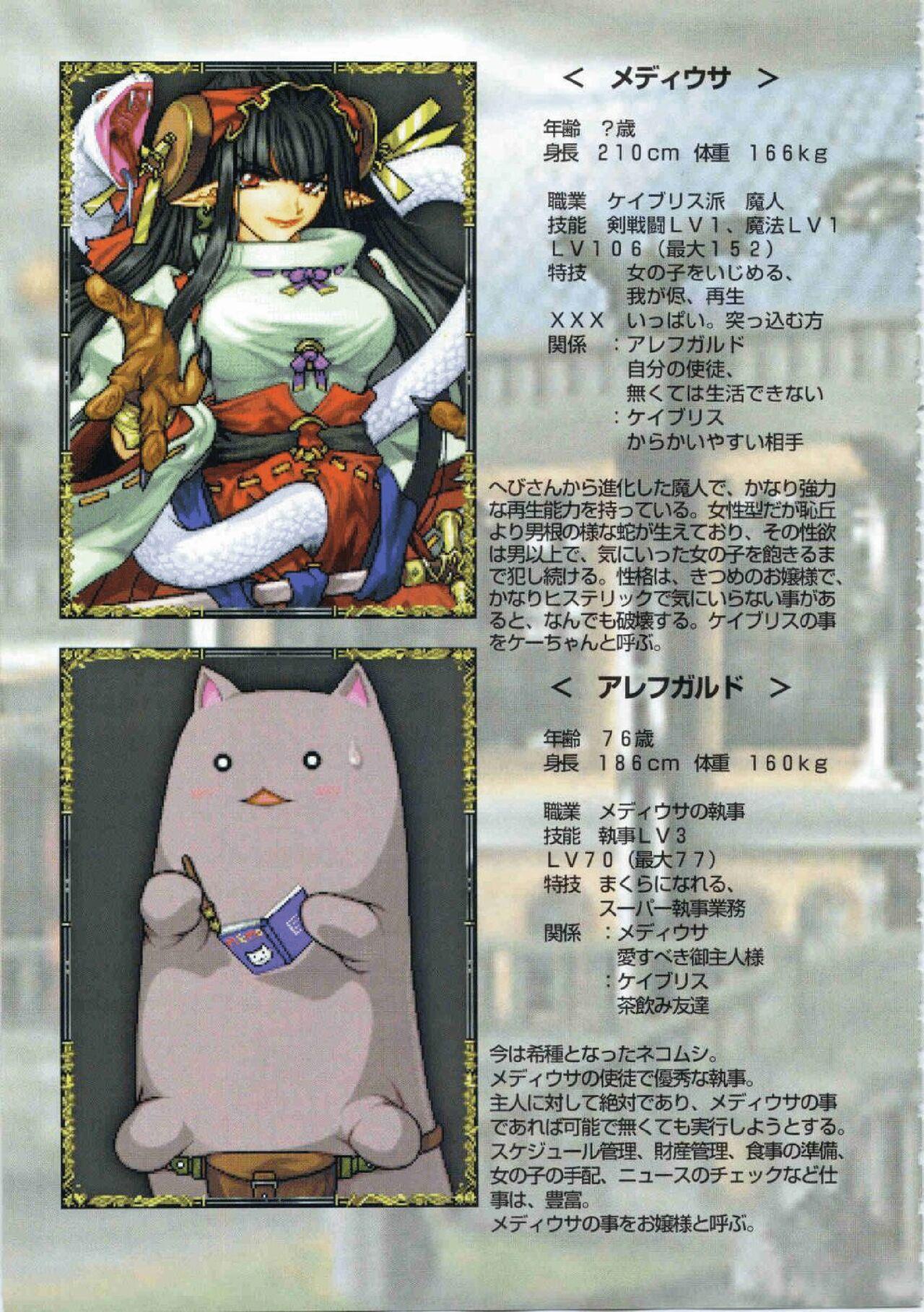 Kichikuou Rance First Press Release Book 113