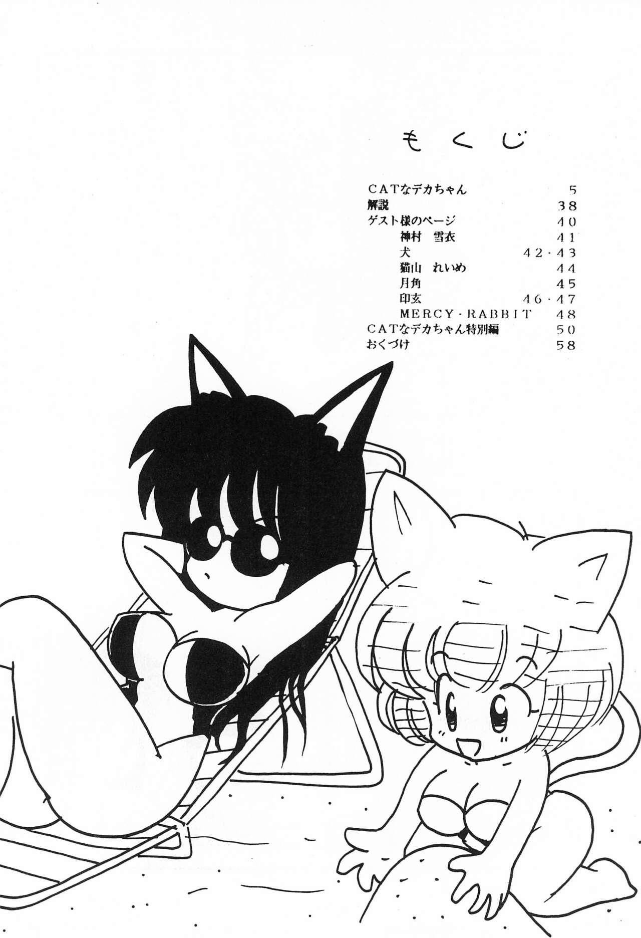 CAT na Deka-chan 5