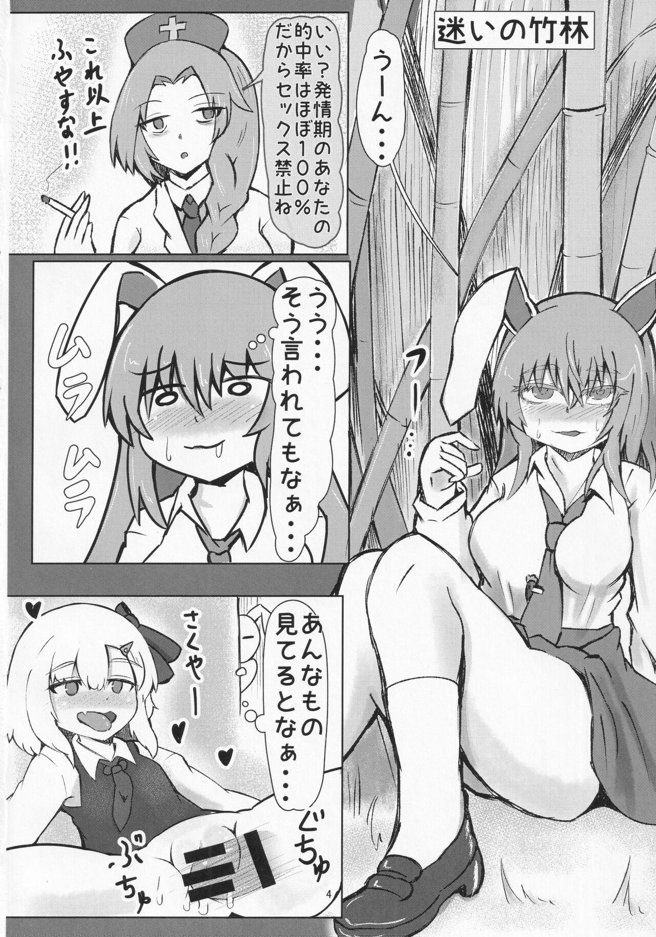 Licking Pussy Inaba no Mesu Usagi - Touhou project Solo - Page 3