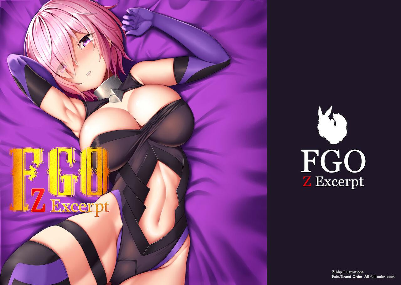 Thong FGO Z Excerpt - Fate grand order Hard Cock - Picture 1