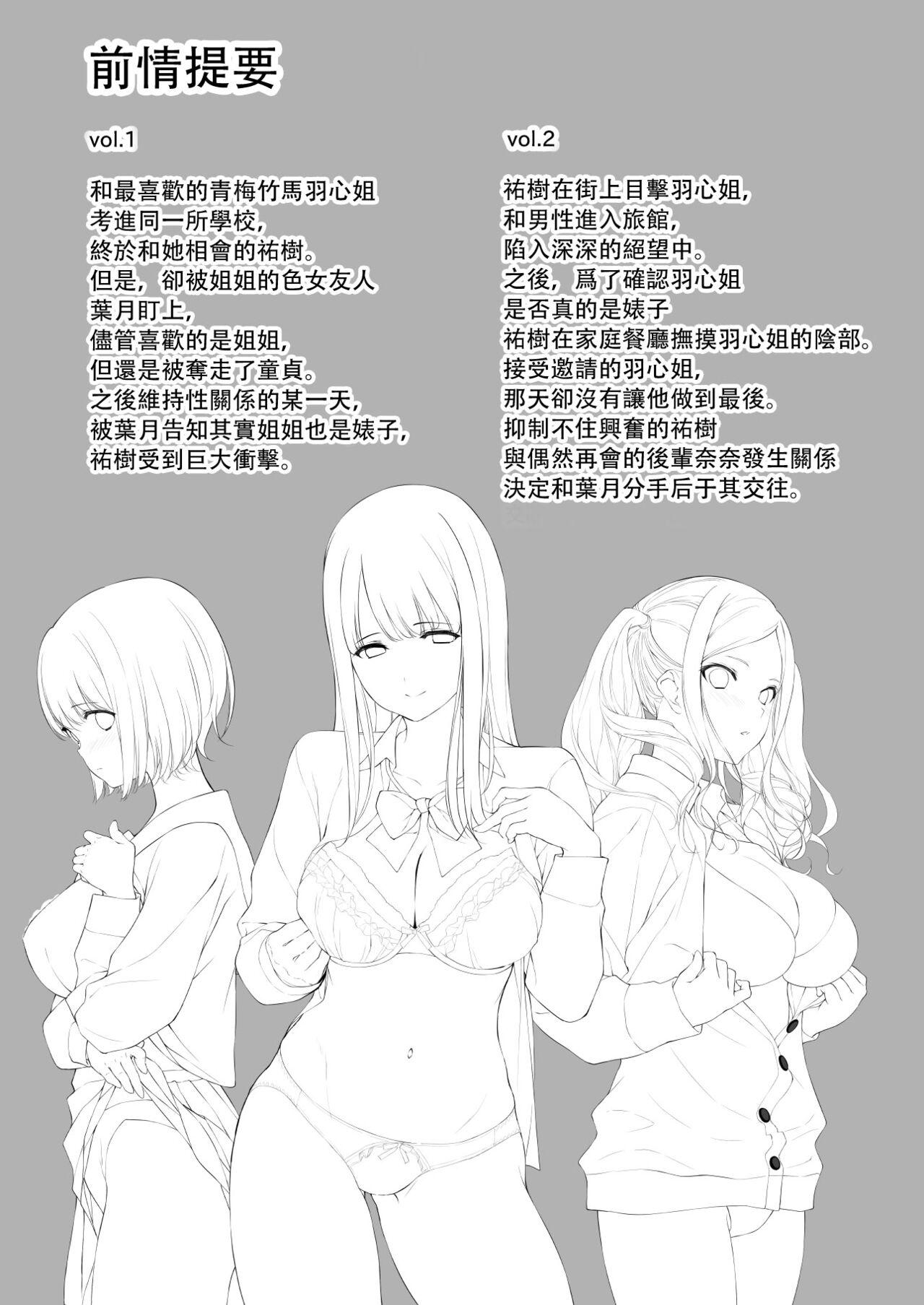 Gagging Seiso na Ane ga Suki nanoni, Bitch to Sex Shiteru Ore 3 - Original Work - Page 2
