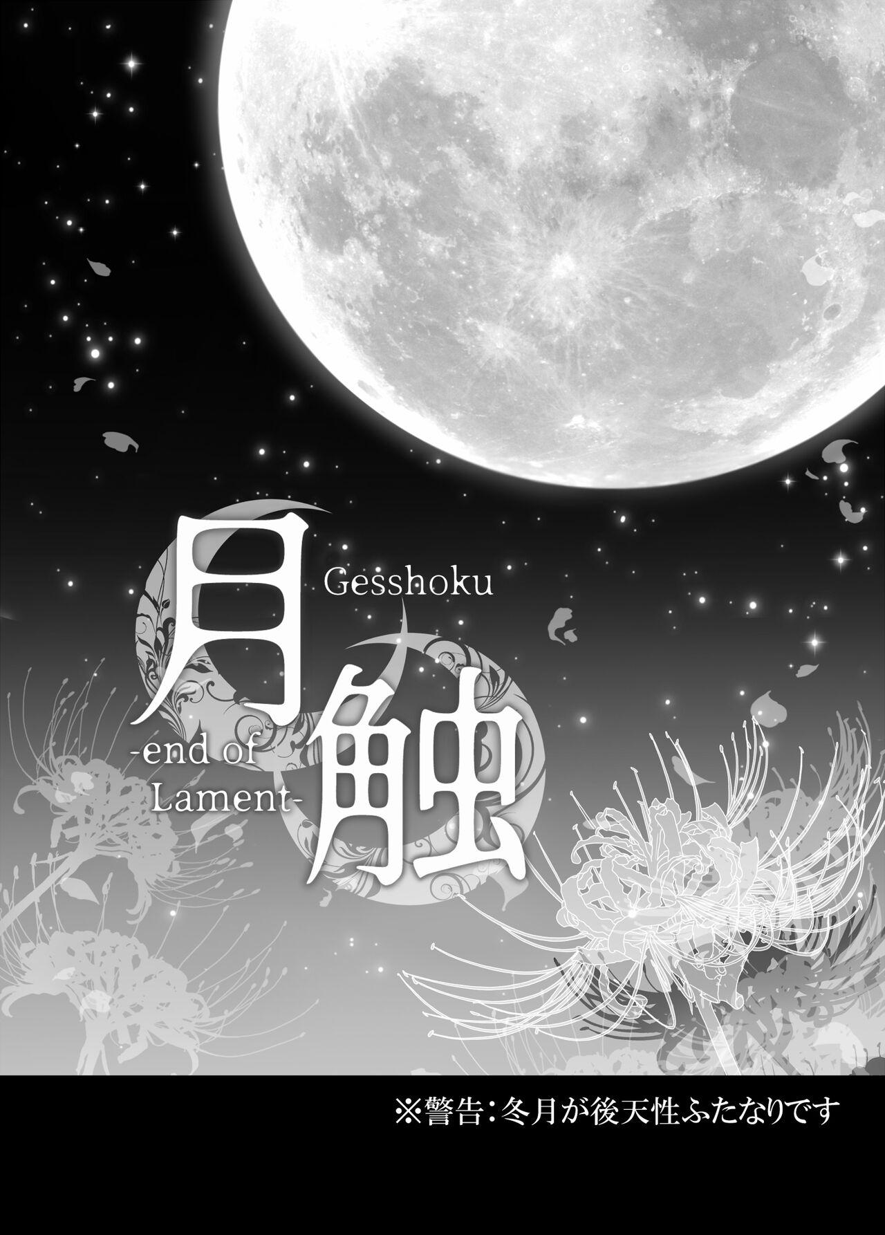 Work Gesshoku - Kantai collection Footfetish - Page 3