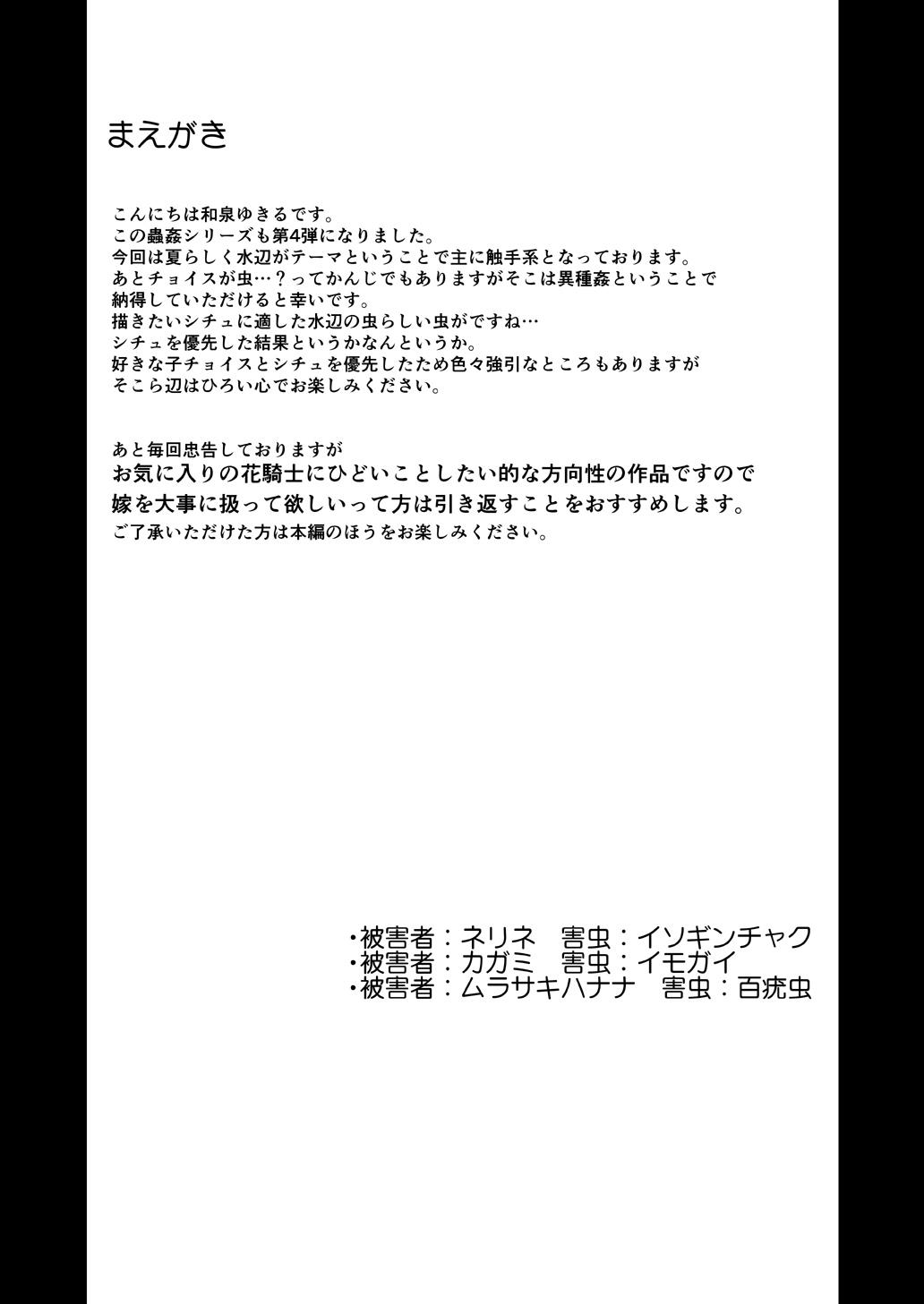 Nudist Gaichuu Higai Houkokusho File 4 - Flower knight girl Sem Camisinha - Page 3