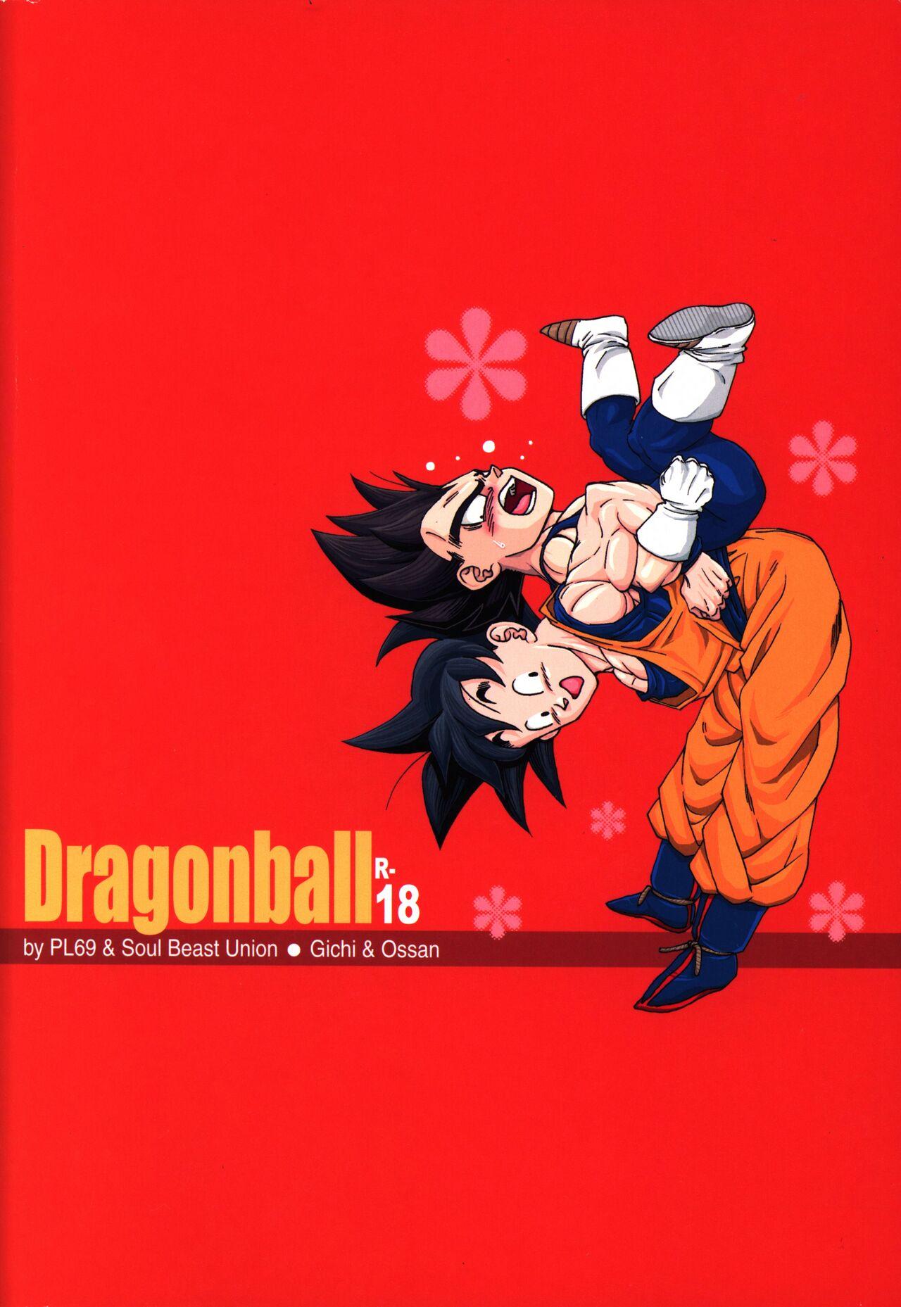 Dragonball Fan Book SPECIAL 35