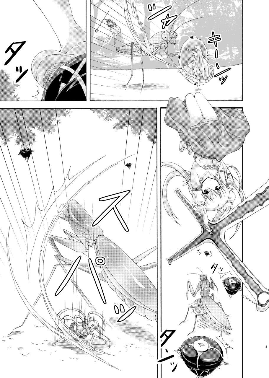 Pussy Fuck Gaityuu Tsudou Hana no Seijo-tachi - Flower knight girl Spit - Page 2