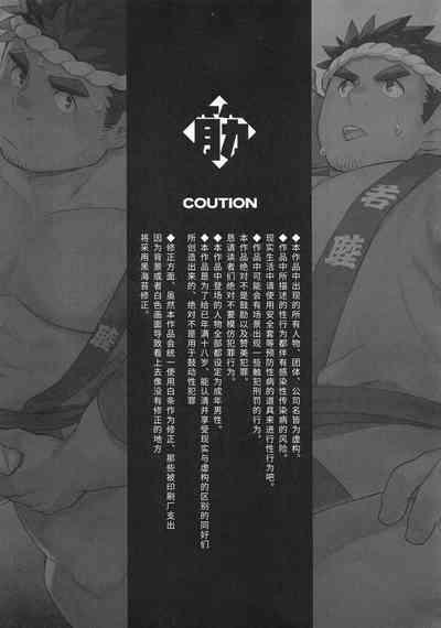 CHOGOKIN-002 6
