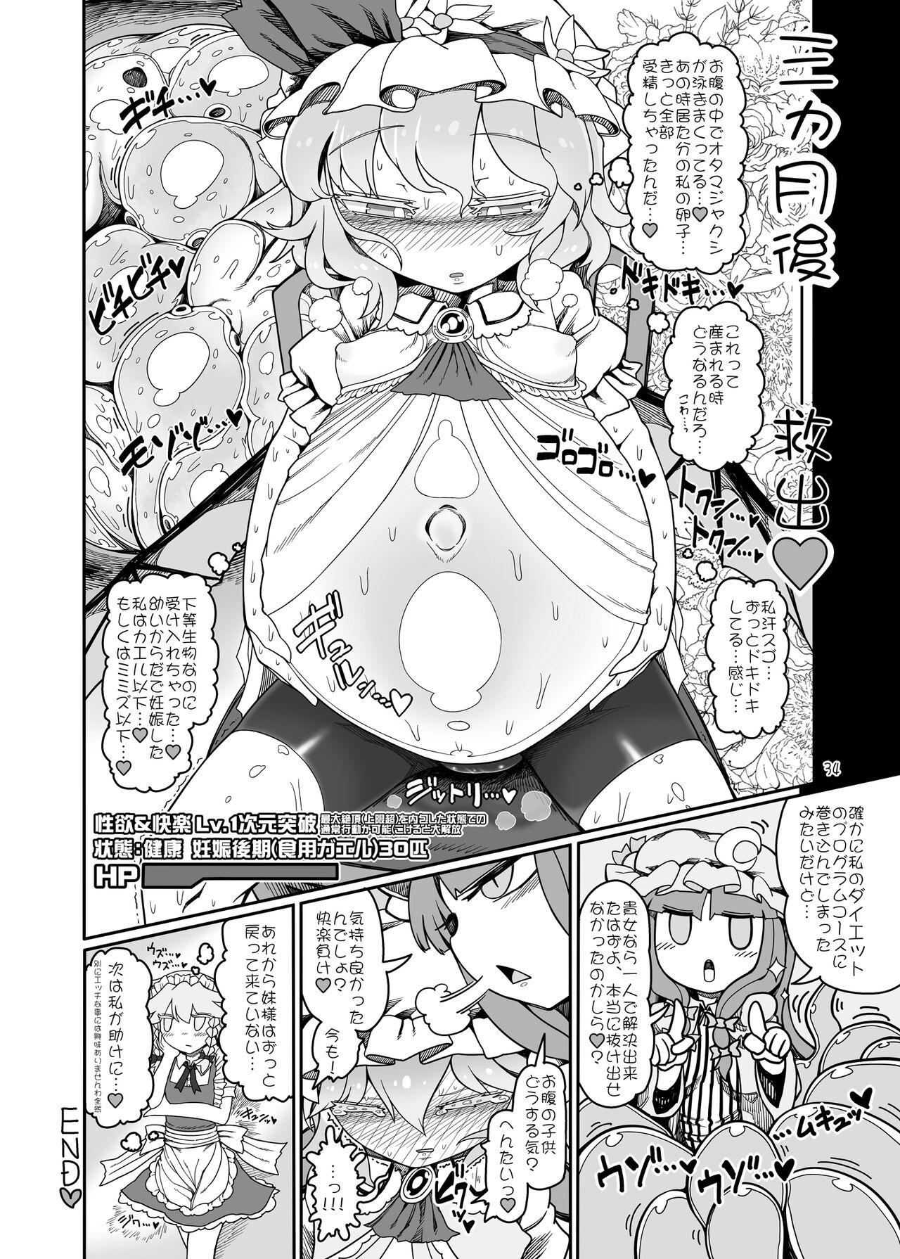 Remilia Mugen Marunomi 36