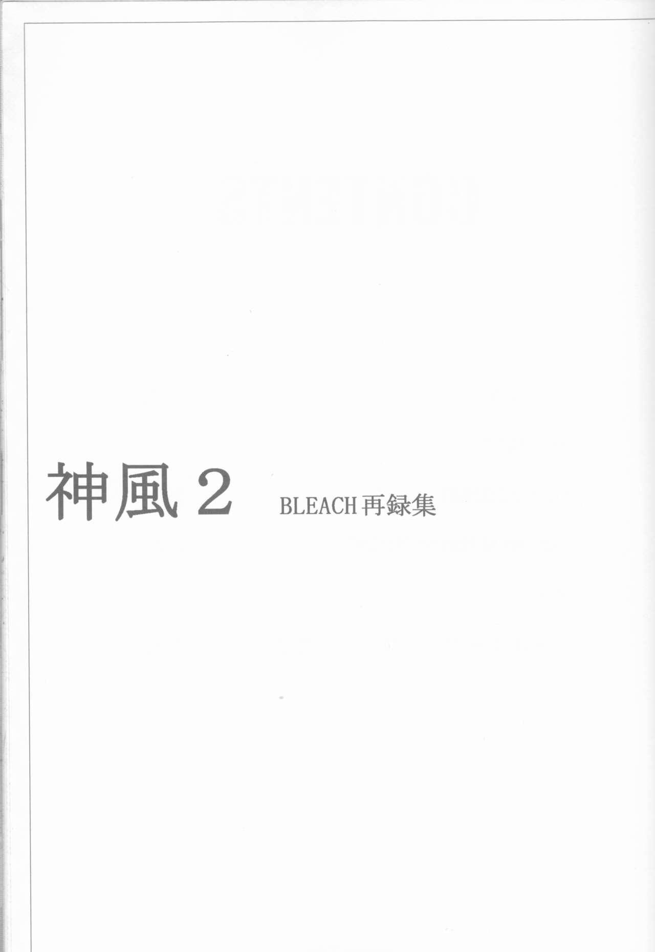 Long Hair Kamikaze 2 - Bleach Blacks - Picture 3