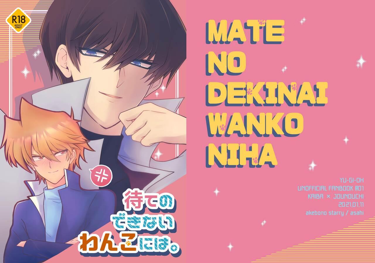 Mate no Dekinai Wanko ni wa. 29