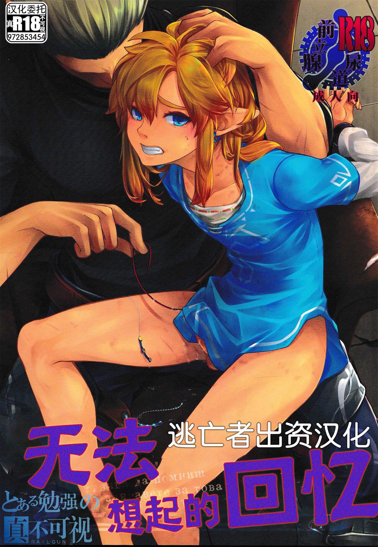 Sapphic Erotica 思い出してはいけない記憶 - The legend of zelda Gay Pawnshop - Picture 1