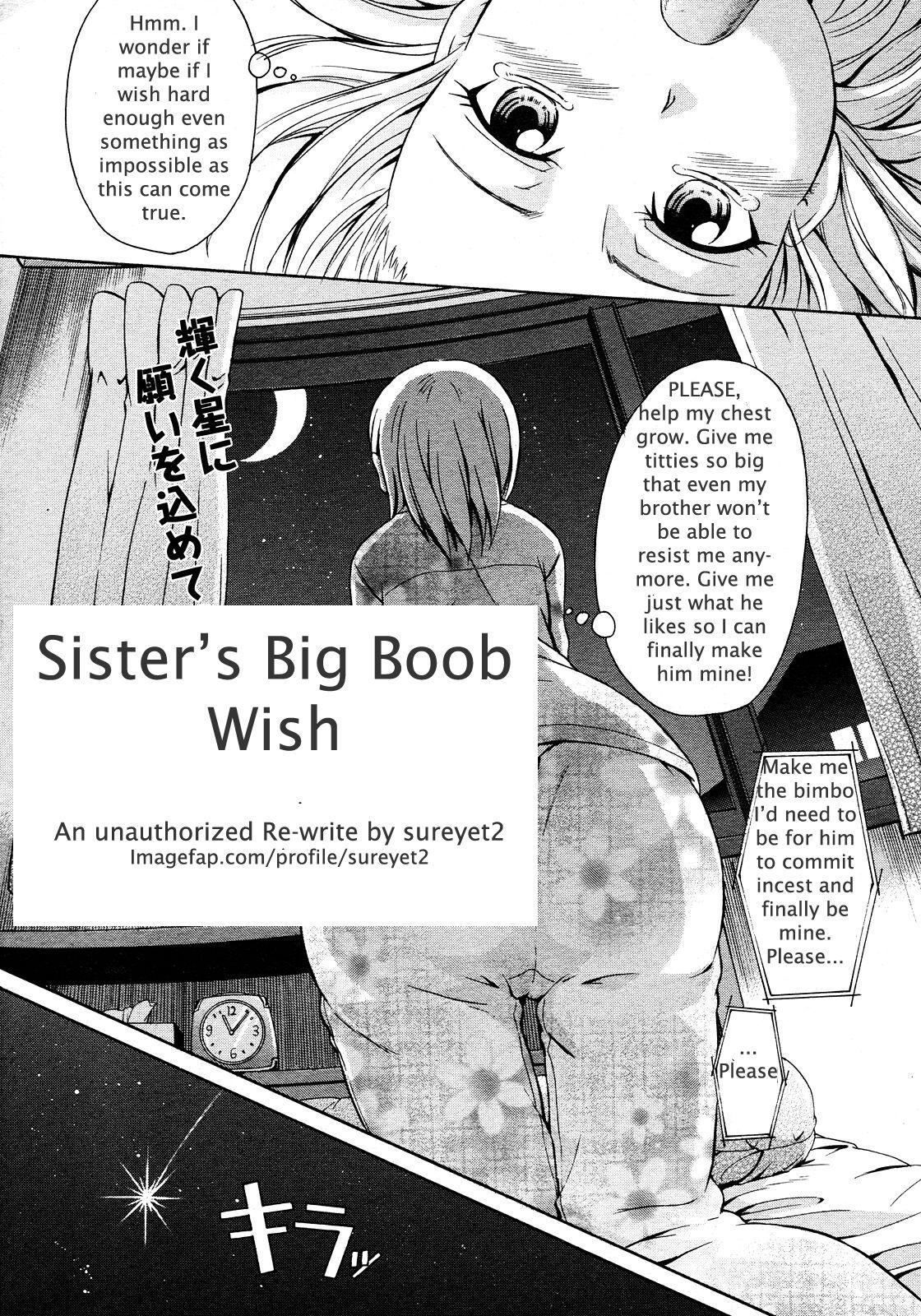 Sister's Big Boob Wish 3