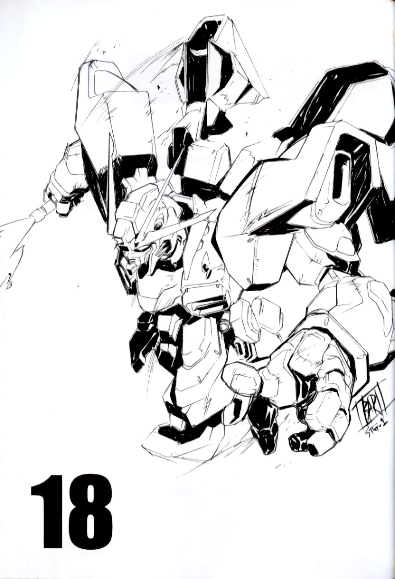 Crossdresser GUNYOU MIKAN vol.18 - Gundam seed Emo - Page 2