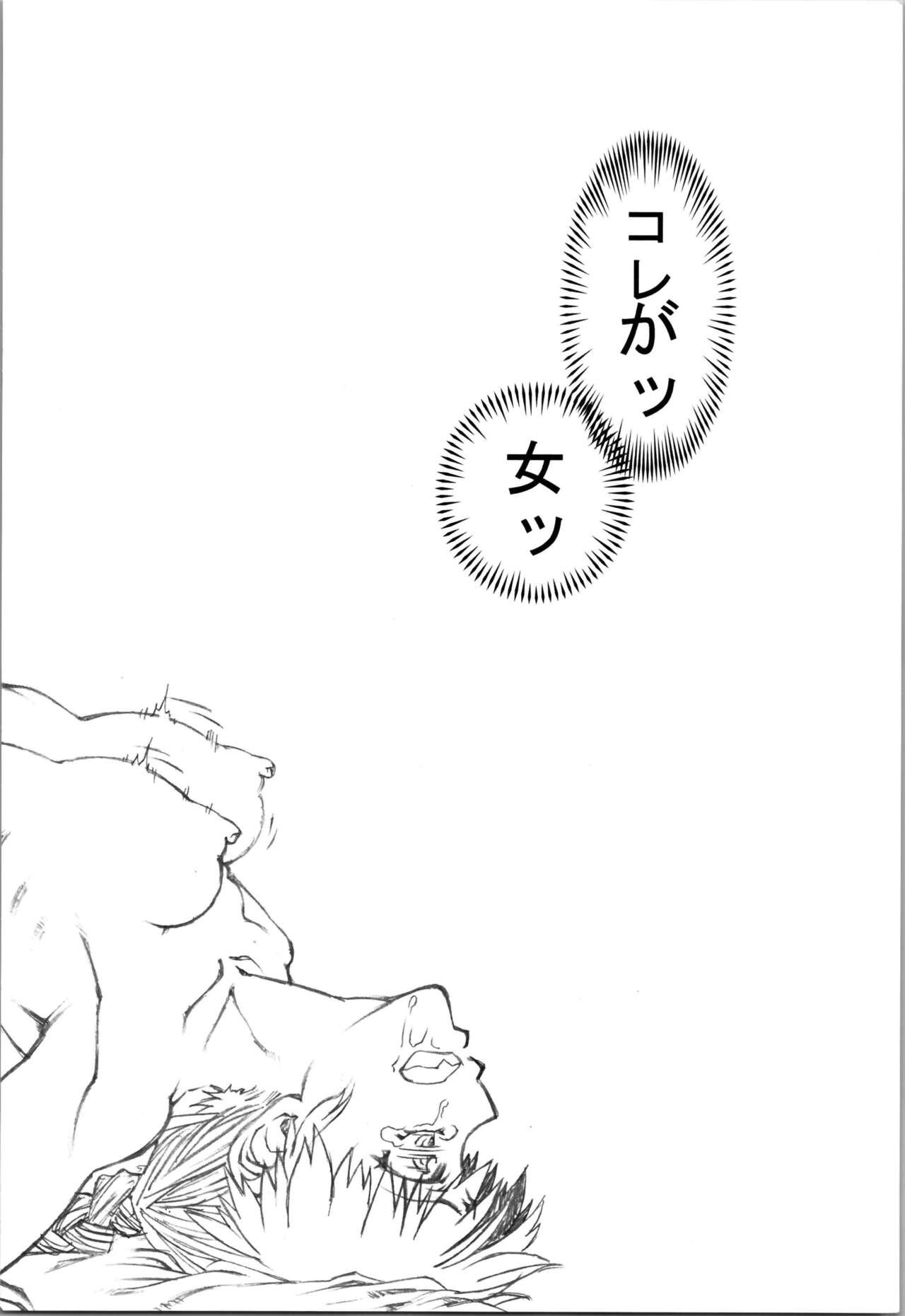 Saotome Ranma no Seitai Preview Ver2 22
