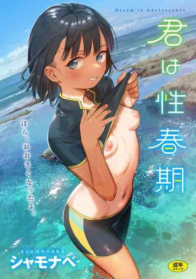 Danish Kimi Wa Seishunki - Dream In Adolescence  Relax 1