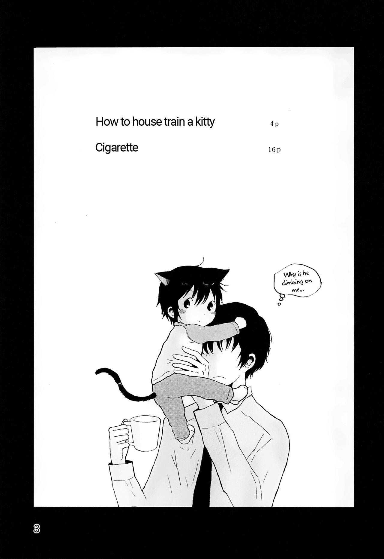 Heya o Yogosu Neko no Shitsukekata Cigarette | How to house train a kitty + Cigarette 1