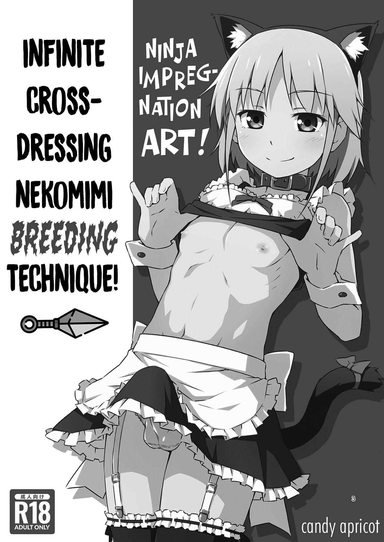 Toy Ninpou! Josou Nekomimi Maid Mugen Tanetsuke no Jutsu!! | Ninja Impregnation Art: Infinite Crossdressing Nekomimi Breeding Technique! - Original Prostitute - Page 2
