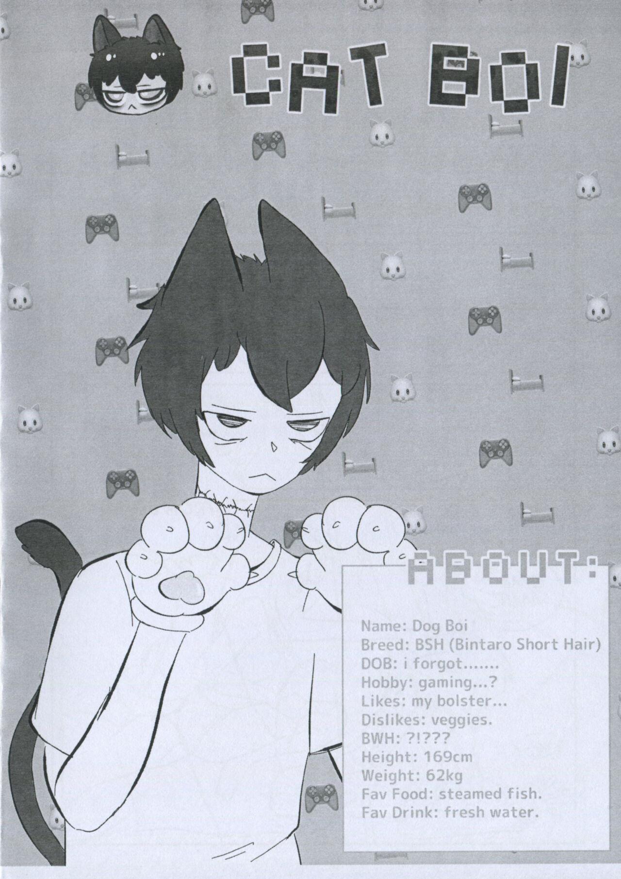 De Quatro Dog Gal Cat Boi - 犬ガール猫ボーイ - Original 18yearsold - Page 5