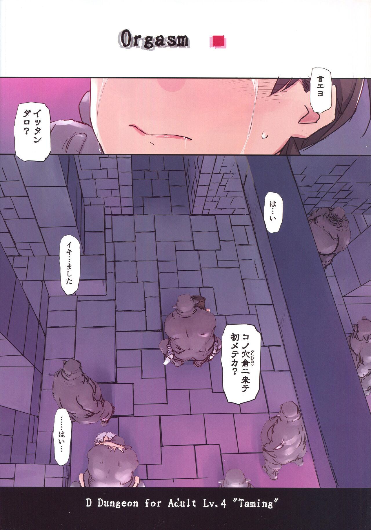Pierced D Dungeon for Adult Lv.4 - To heart Story - Page 3