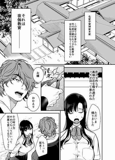 Namaiki Ojou-sama no Mesu Ochi Kyouiku 3