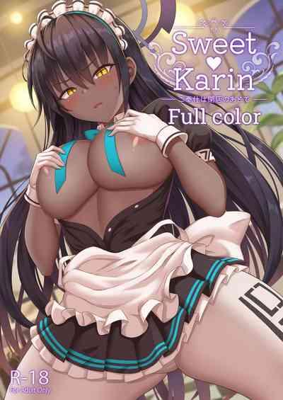 Sweet Karin 0