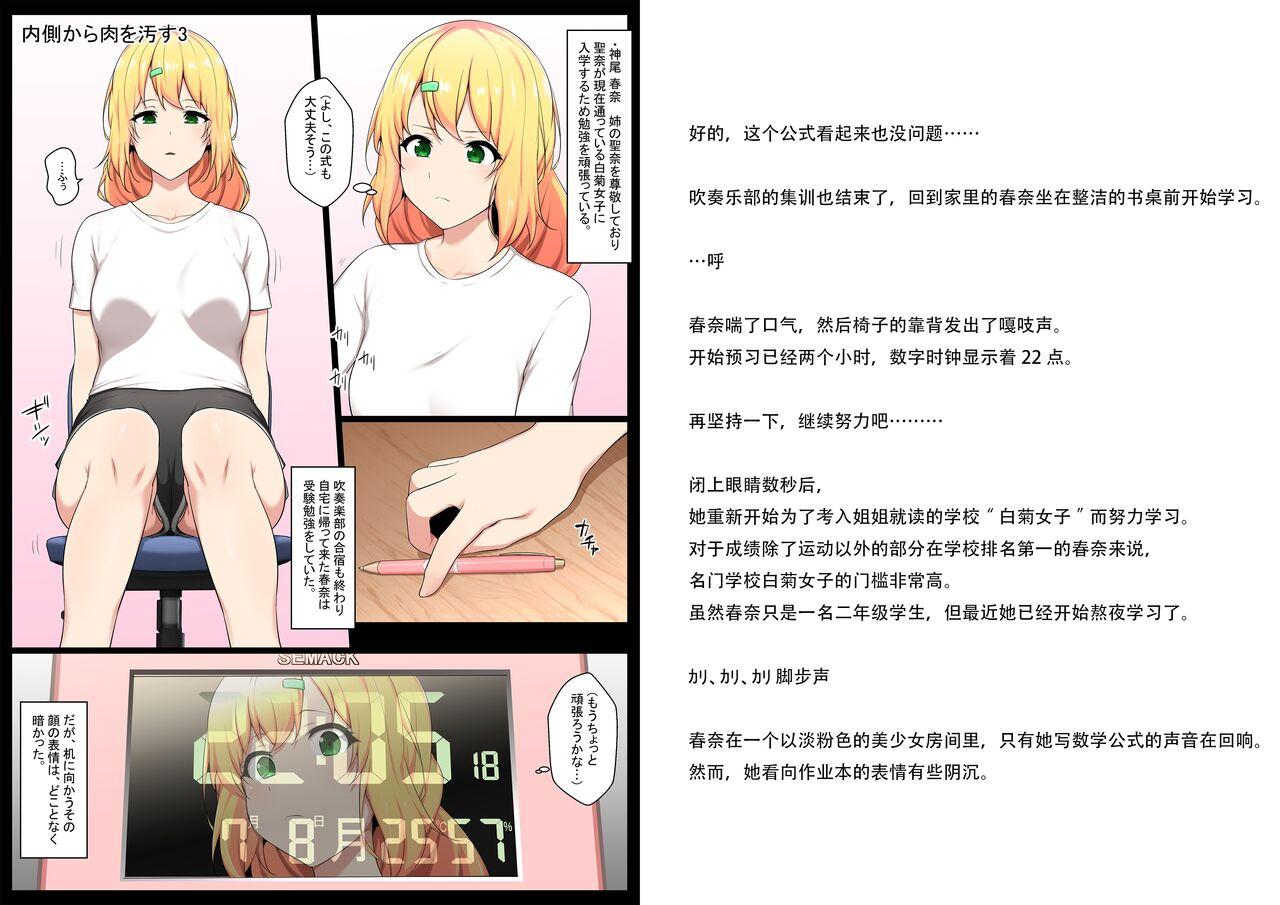 Off Uchigawa kara Niku o Yogosu 3 T Girl - Page 2