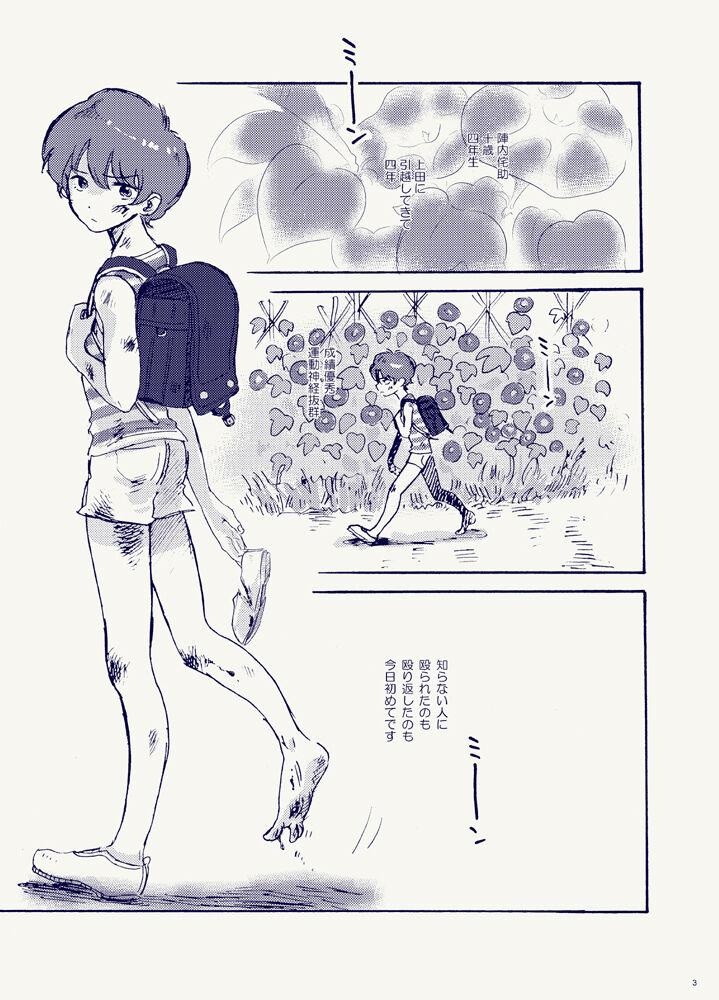Hot Girl Miteita no wa Asagao dake - I want to watch only the morning glory. - Summer wars Ffm - Page 3