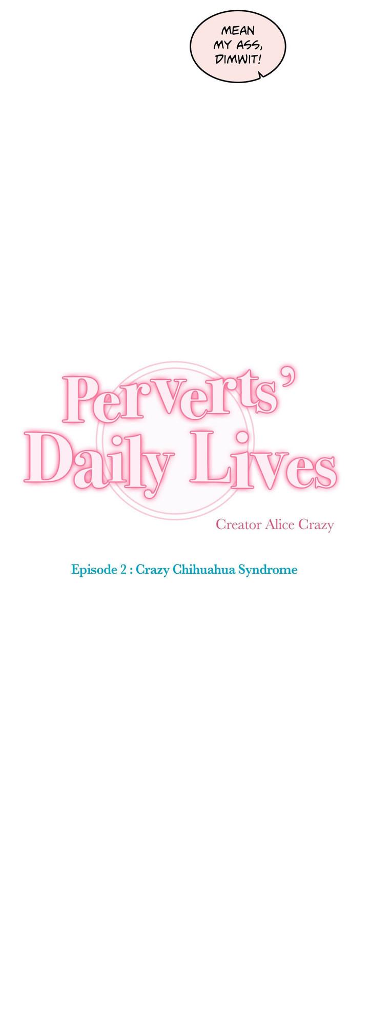 Perverts' Daily Lives Episode 2: Crazy Chihuahua Syndrome 223