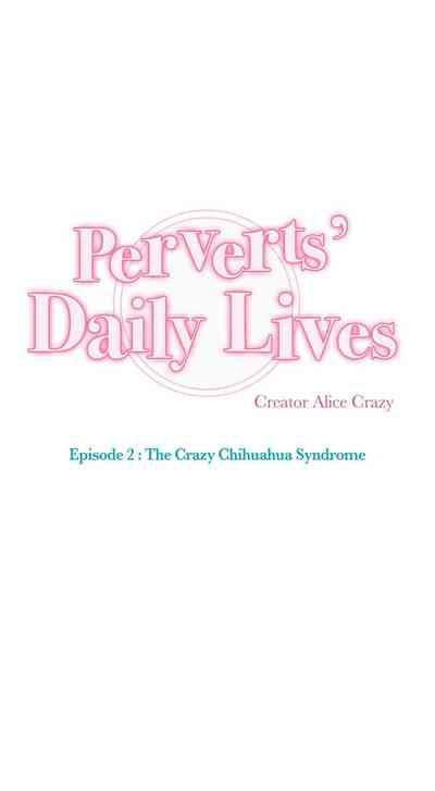 Perverts' Daily Lives Episode 2: Crazy Chihuahua Syndrome 5