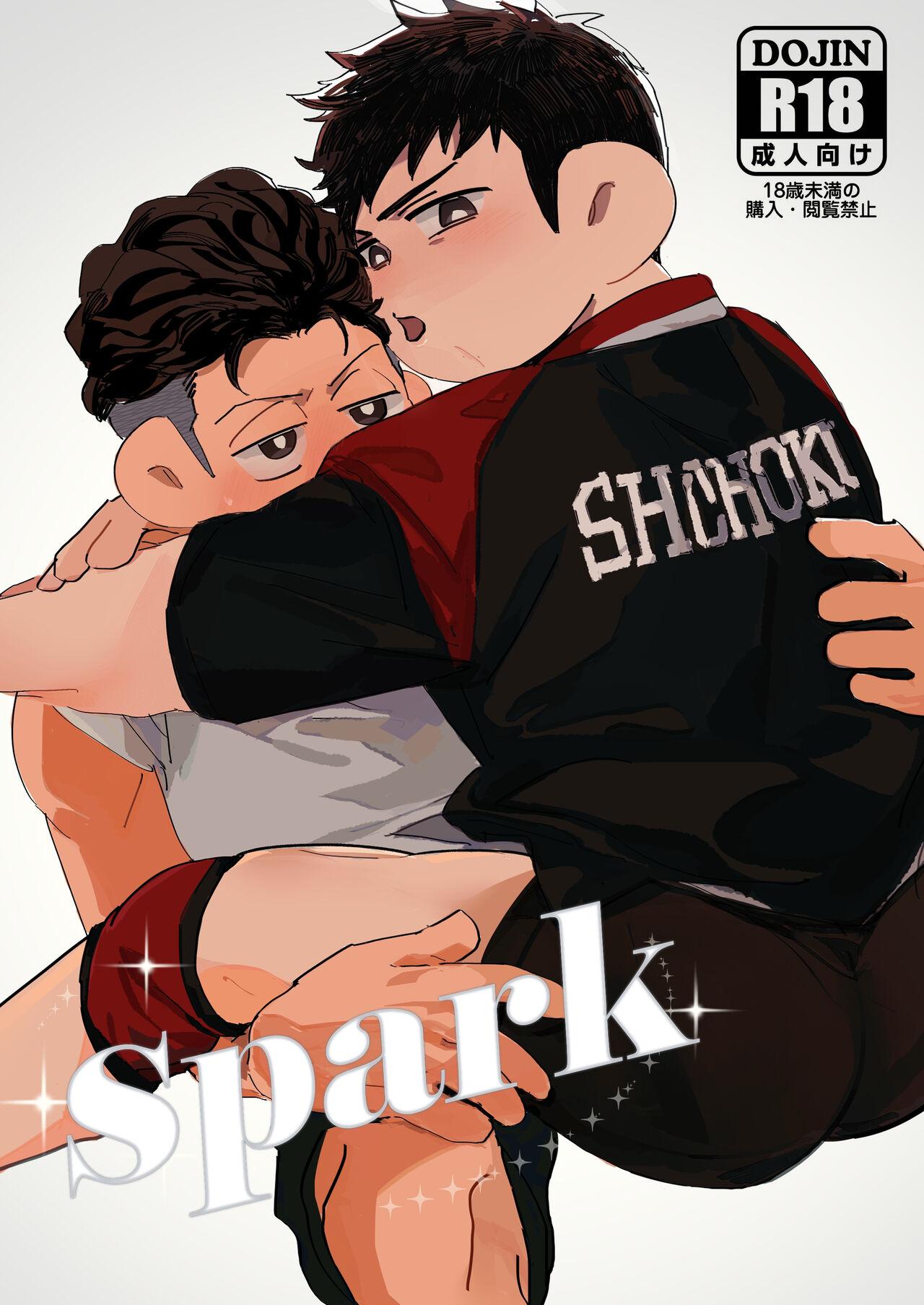 Spark [毛小正] (スラムダンク) [英語] [DL版] 0