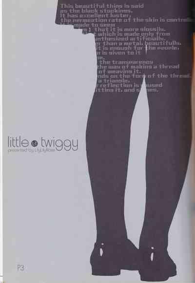 little twiggy 3