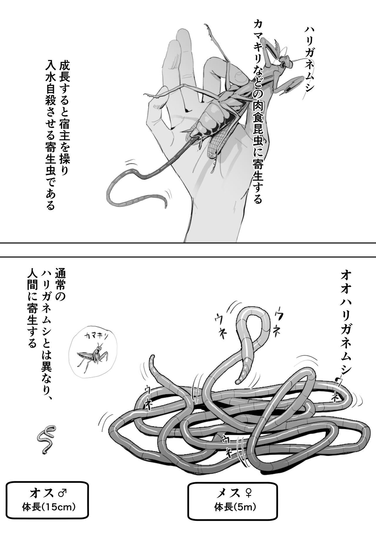 Pounding Oohariganemushi No Seitai Siririca - Page 1