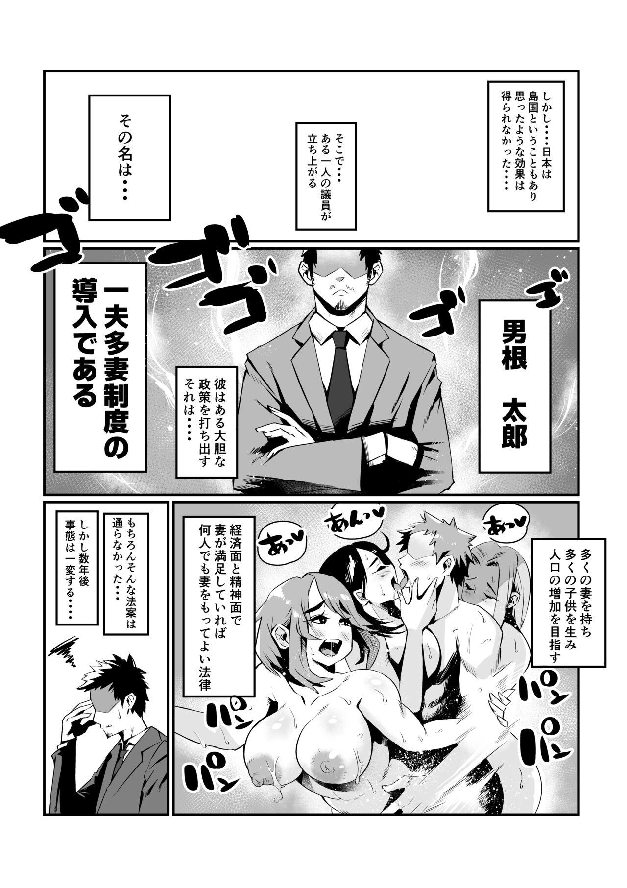 Step Fantasy Ippu Tasai Seido Houan ga Kaketsusaremashita - Original HD - Page 3