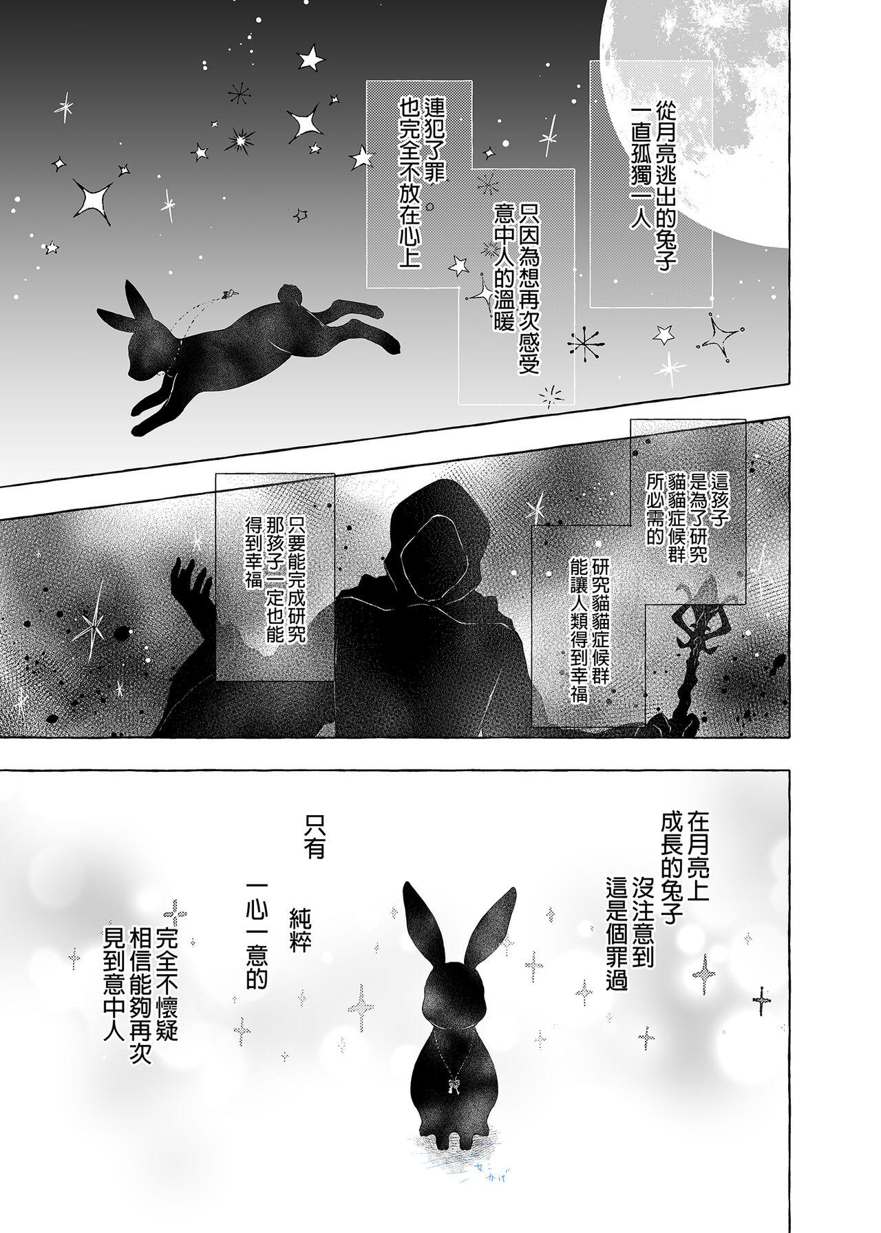 Couples [Kinokonomi (konomi)] Nyancology11 -Usami-san to Himitsu no Apart Ouse- | 喵喵可蘿姬11～和宇佐美的祕密公寓幽會 [Chinese] [Digital] - Original Fantasy - Page 3