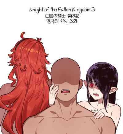 Knight of the Fallen Kingdom 3 1