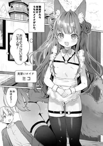 Sexy Maid Hiroimashita 2