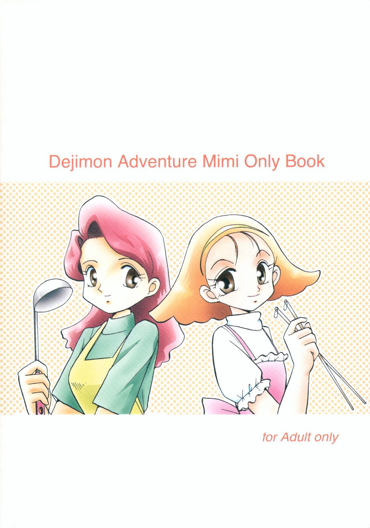 Slutty Sora Mimi Hour 4 - Digimon adventure Cousin - Page 26