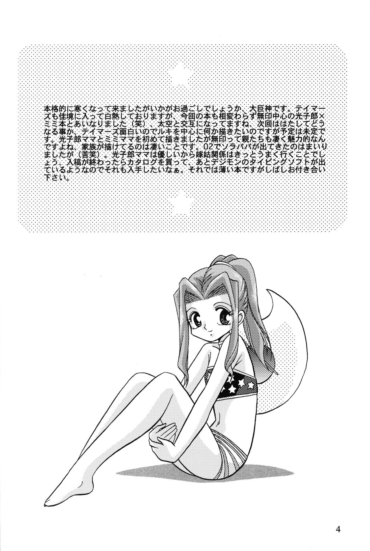 Twinks Sora Mimi Hour 4 - Digimon adventure Butt Fuck - Page 3