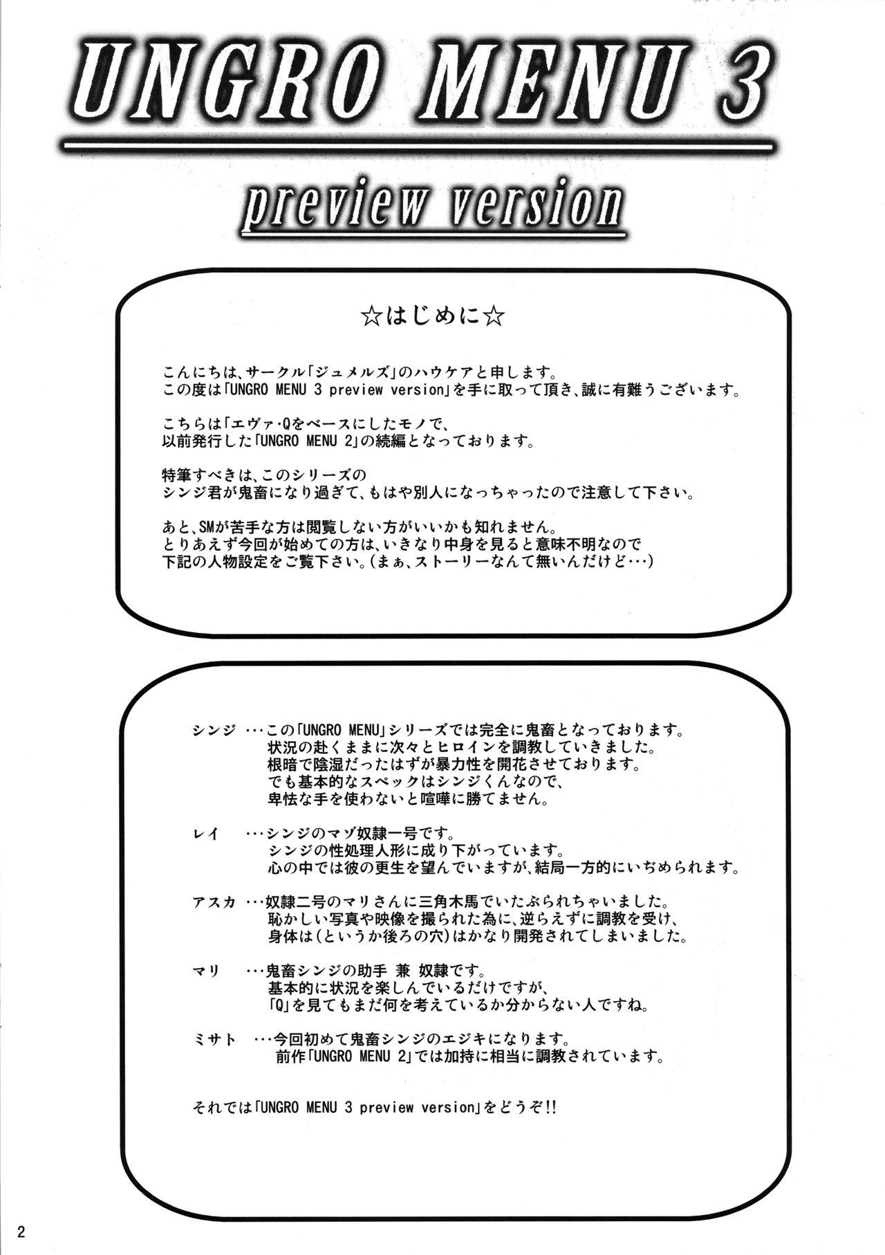 Metendo UNGRO MENU 3 preview version - Neon genesis evangelion Brother Sister - Page 2