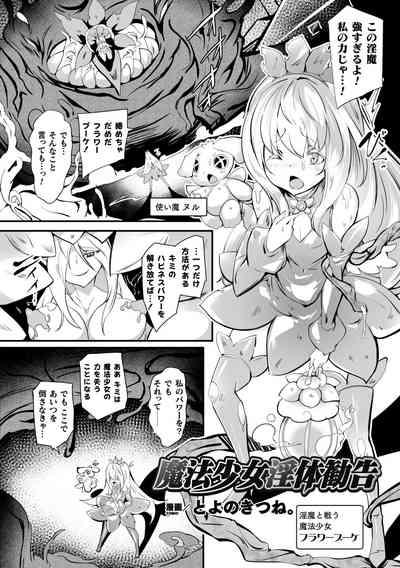 2D Comic Magazine Shokushu Beya Seigi no Heroine Nikugoku Ryoujoku de Mesu Ochi Acme Vol. 1 3